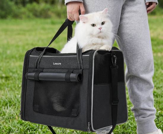 Transportín plegable para gatos con cortinas opacas y ventanas de malla